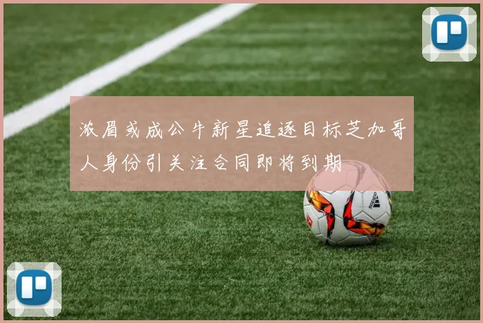 浓眉或成公牛新星追逐目标芝加哥人身份引关注合同即将到期