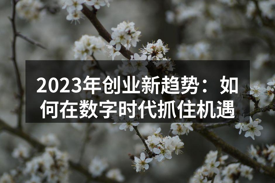 2023年创业新趋势：如何在数字时代抓住机遇